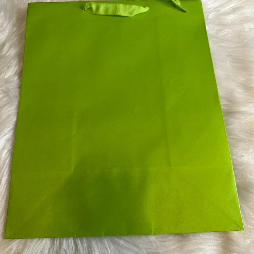 🩷5/$10 Vibrant Green gift Bag